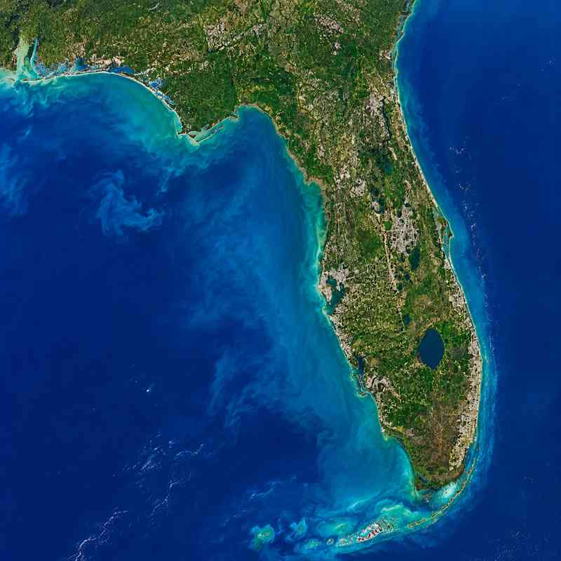 seo agency florida